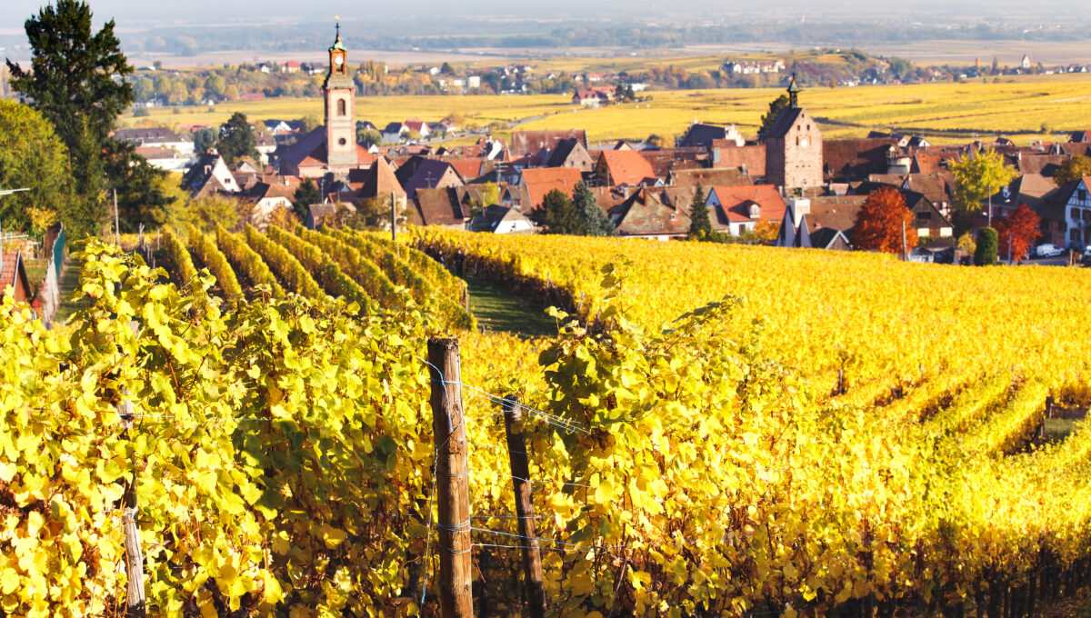 Geführte Biker-Reise im Elsass