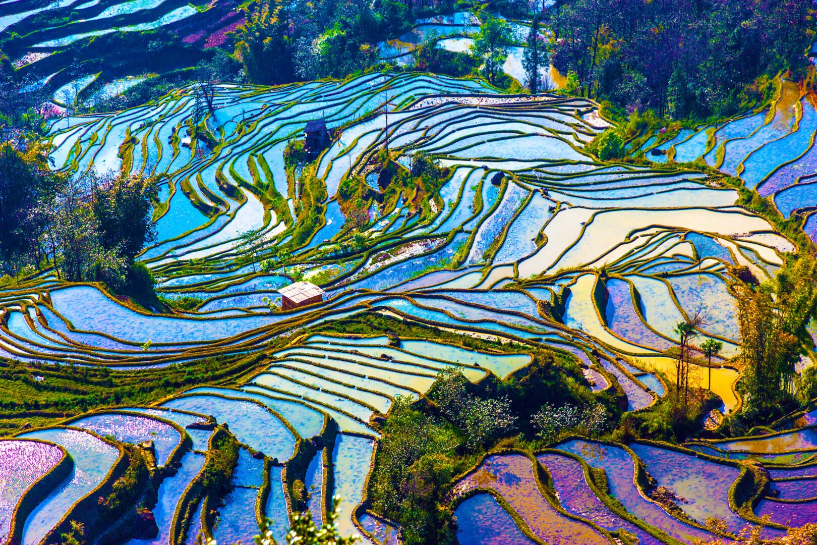 Reisterrassenlandschaft in der chinesischen Provinz Yunnan, China