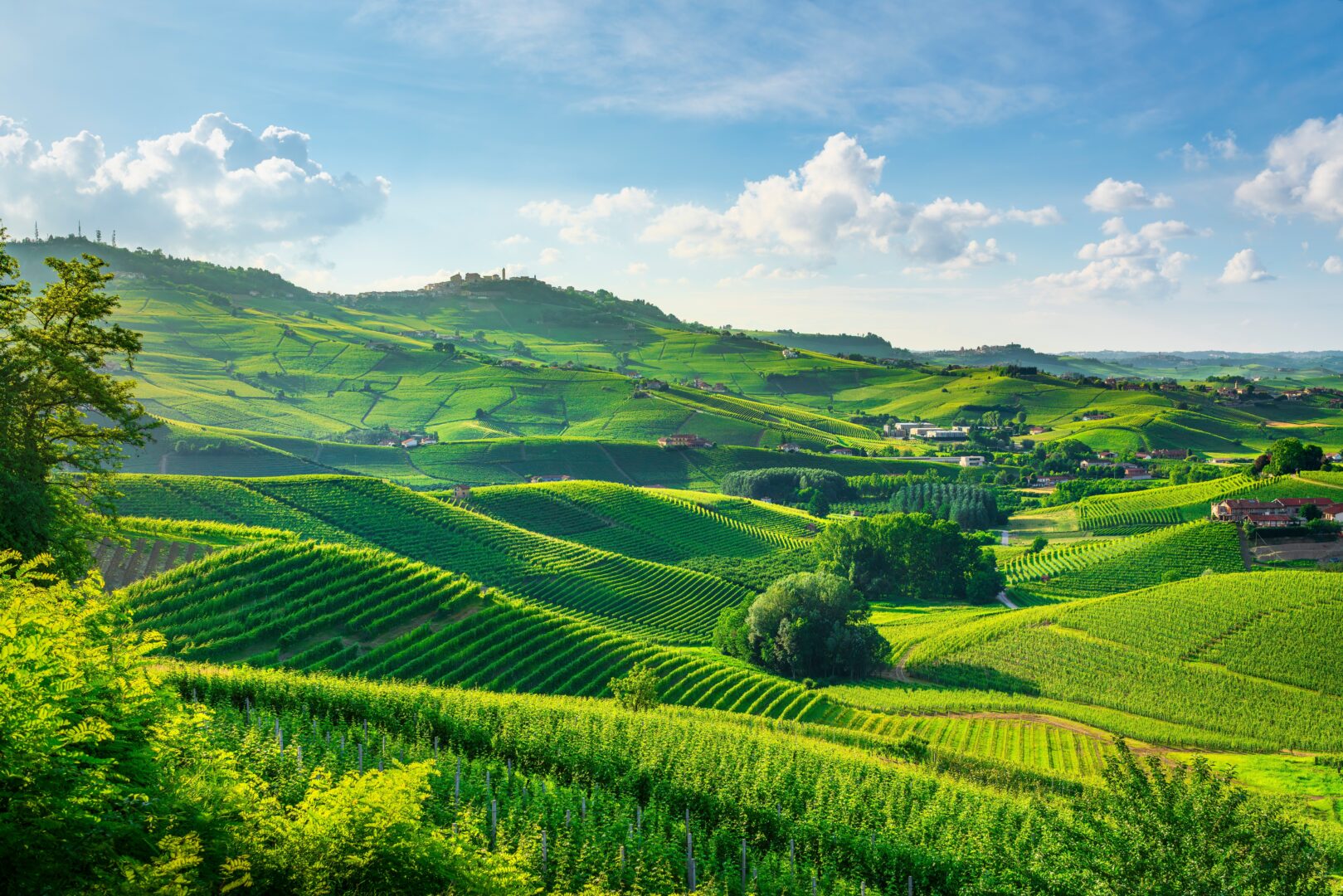 Roadtrip im Piemont – mit Leidenschaft am Steuer