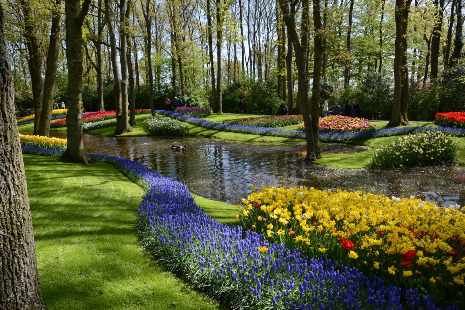 Keukenhof-Gärten mit blühenden Tulpen, Niederlande