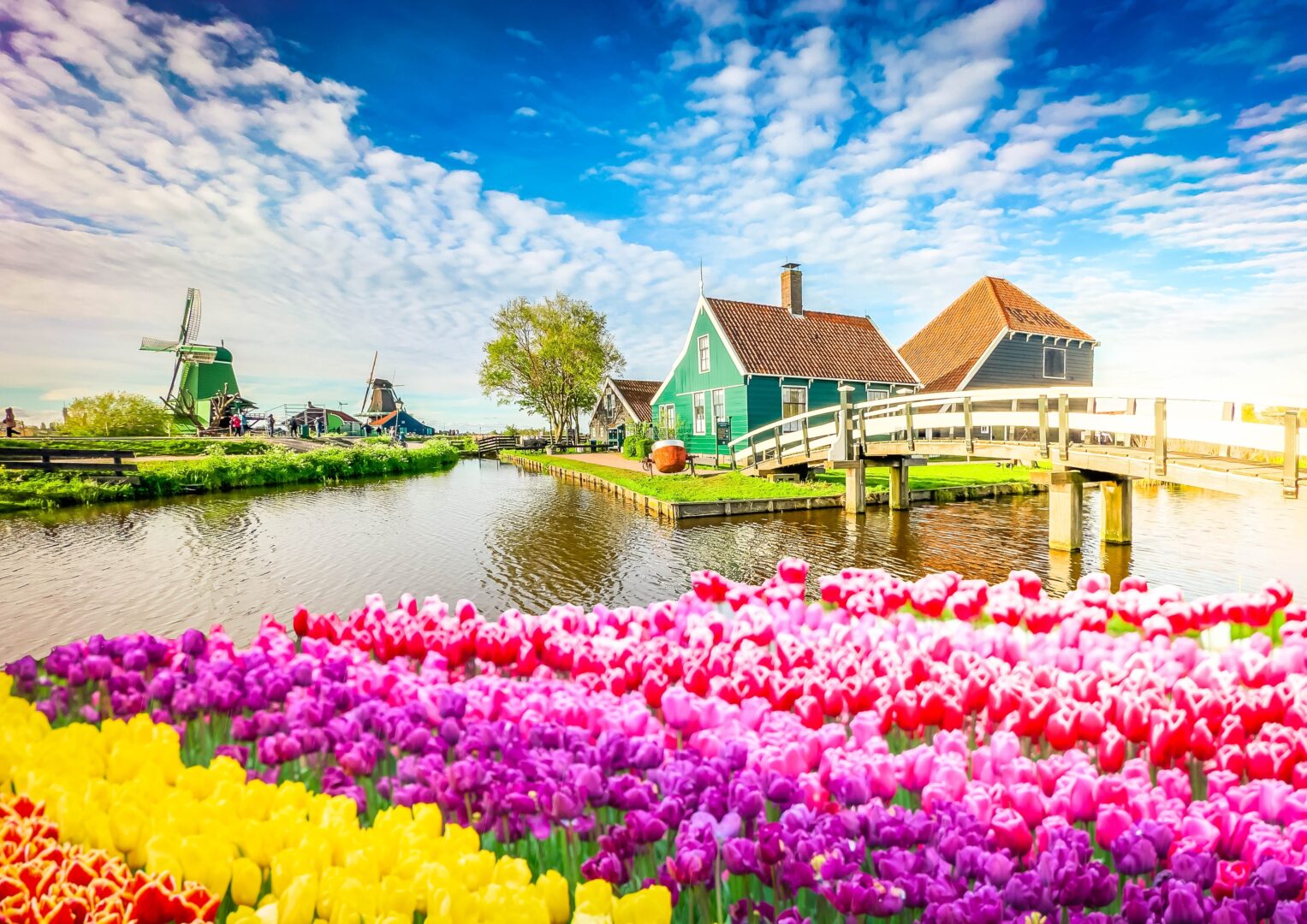 Die kleine Altstadt von Zaanse Schans mit ihren Windmühlen, Niederlande